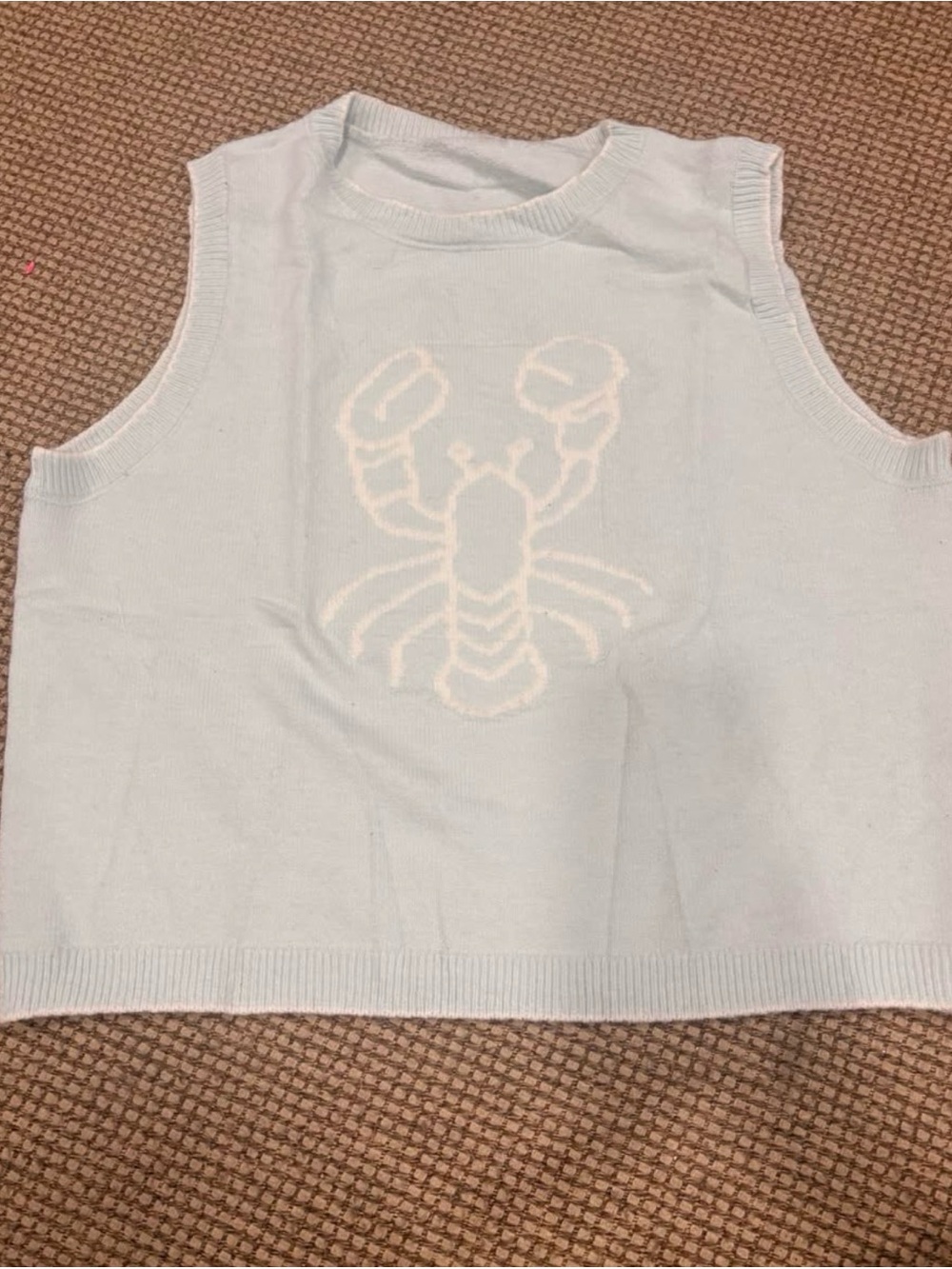 NWOT-Amazon Pale Blue Sleeveless Knit Top with Lobster Graphic